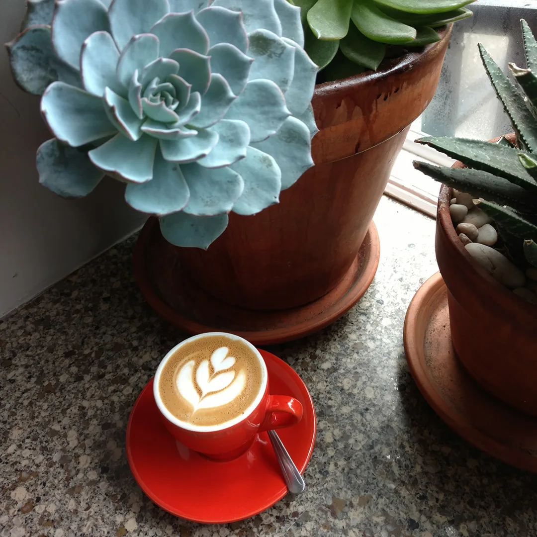 Coffee at CAFÉ GRUMPY